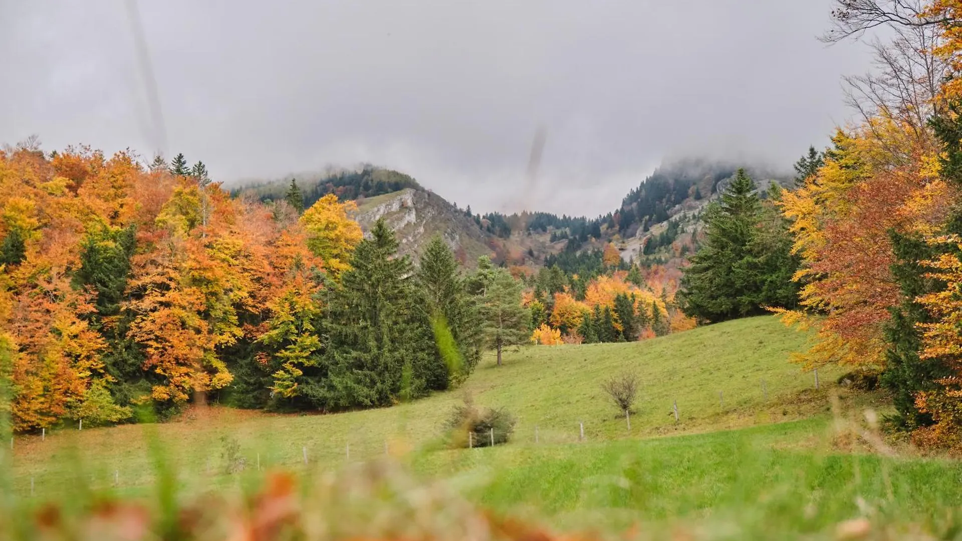 Appartement Familial De Montagne Villard-de-Lans